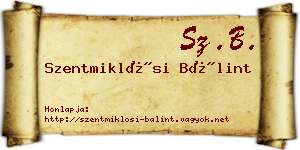 Szentmiklósi Bálint névjegykártya